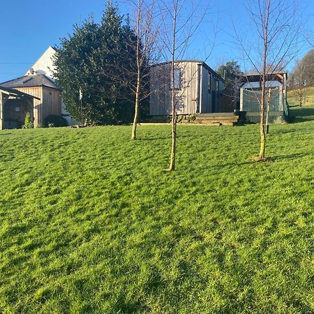 Stunning Shepherds Hut Rural Bliss Dumfries Ngoại thất bức ảnh