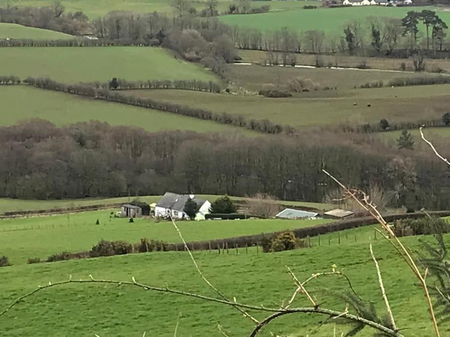 Stunning Shepherds Hut Rural Bliss Dumfries Ngoại thất bức ảnh