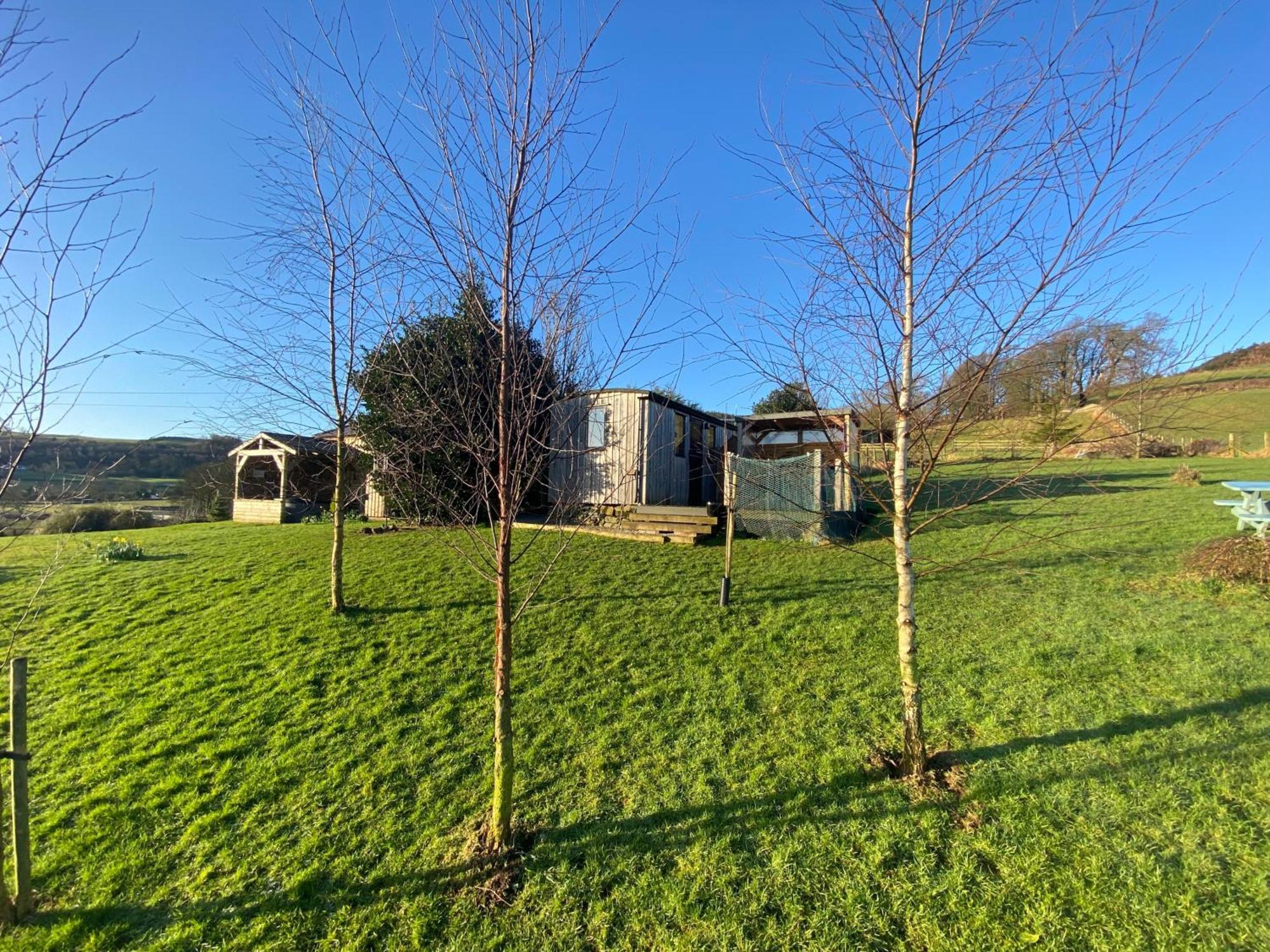 Stunning Shepherds Hut Rural Bliss Dumfries Ngoại thất bức ảnh